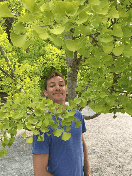 Nate Bauer's head sticking through a Ginkgo Tree